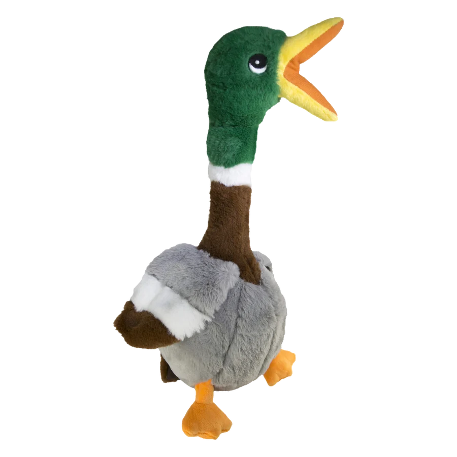 Hračka Kong Dog Shakers Honkers Duck Kačica s pískatkom L polyester