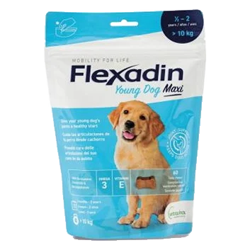 Flexadin Young Dog Maxi žuv.tbl. 60 tbl.