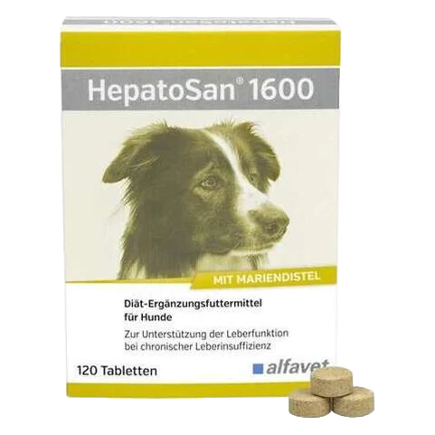 HepatoSan 1600 mg 51,2 g (32 ks)