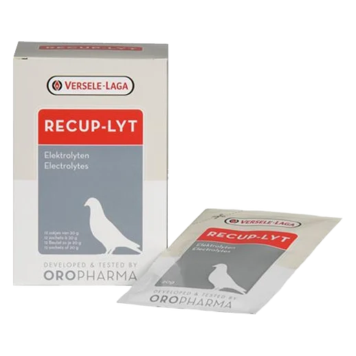 VL Holuby Recup-Lyt 240g - elektrolyty