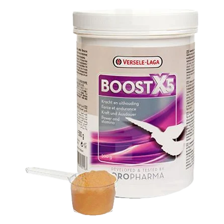 VL Holuby Boost X5 500g - sila a vytrvalosť