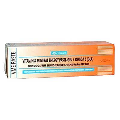 Vitamin & Mineral Energy Pasta pre psy 100 g