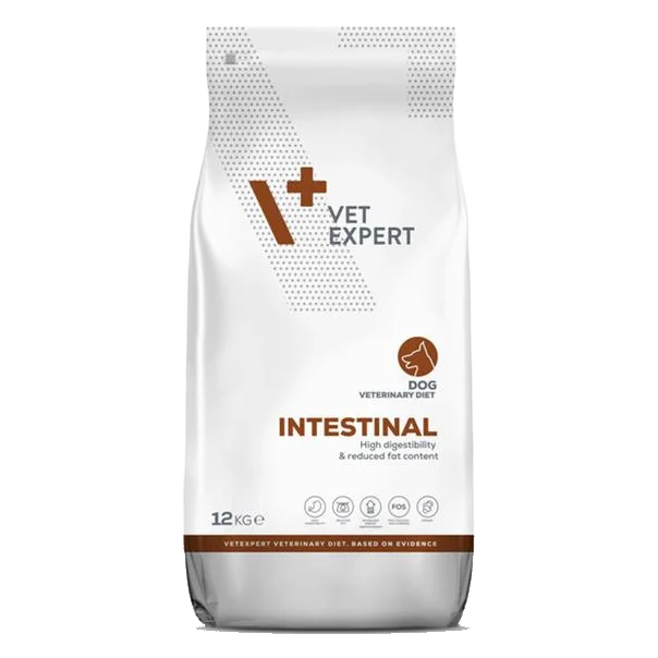 VetExpert VD dog 4T Intestinal 12 kg