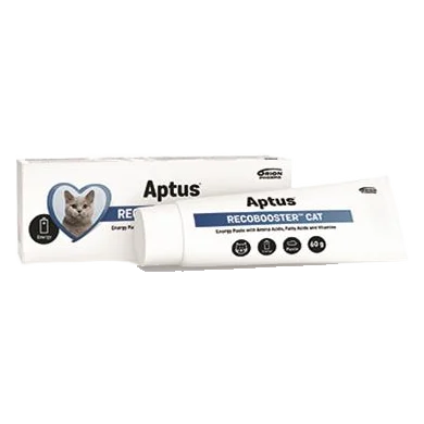 Aptus RECOBOOSTER CAT pasta 60 g
