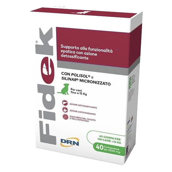 Fidek 1000 mg 40 tbl.