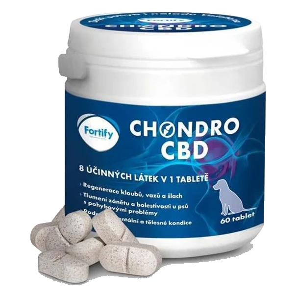FORTIFY Chondro CBD 60 tbl.