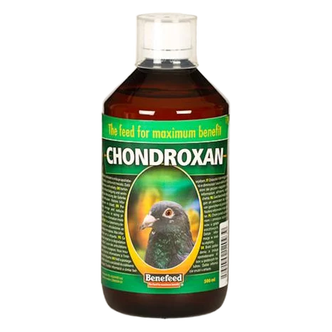 Chondroxan holuby sol. 500 ml