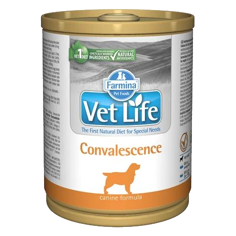 Farmina Vet Life dog convalescence konzerva 300 g