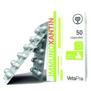 VetaPro ImmunoXantin 50 cps.