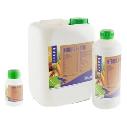 Introchick Oral susp. a 1000 ml