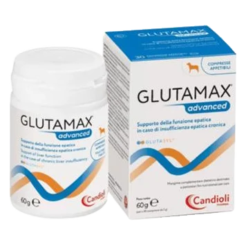 GlutaMax Advanced 12 x 10 tbl.