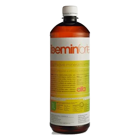 Ibemin Forte sol. 1000 ml