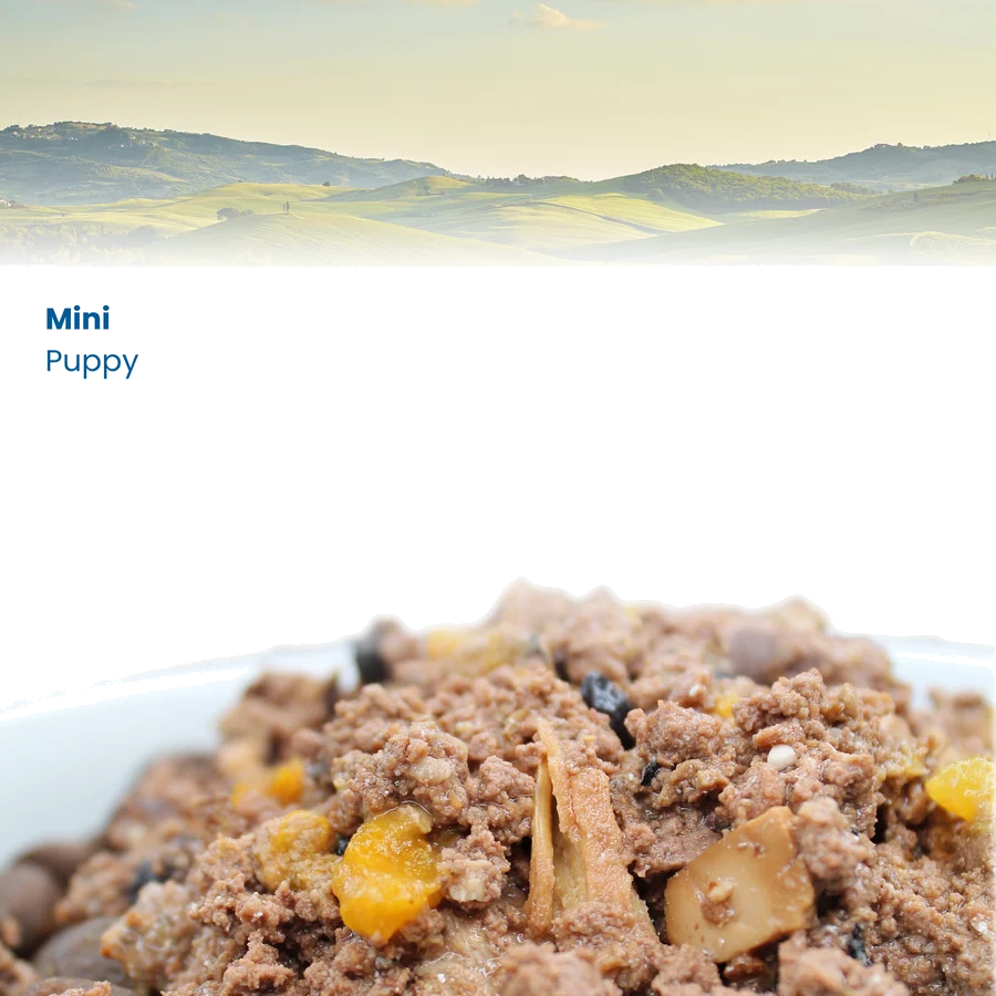 Farmina N&D dog PRIME puppy, chicken & pomegranate konzerva 140 g