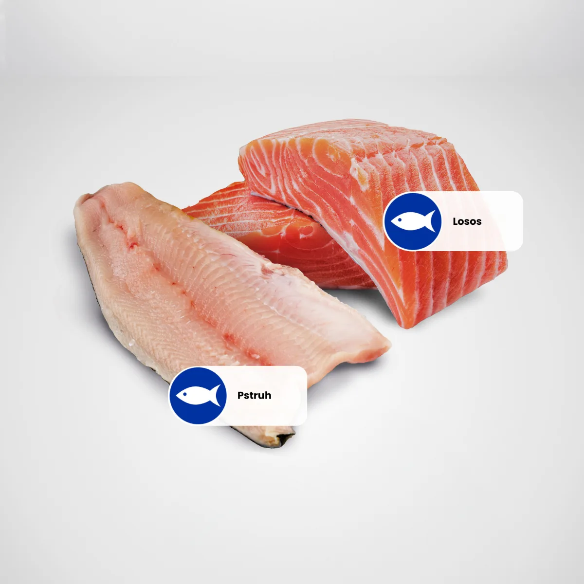 Farmina N&D dog OCEAN trout & salmon konzerva 285 g